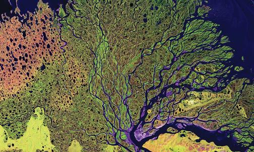 Essay: ‘There Is, in Short, No Planet B’