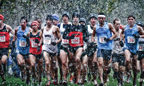 Princeton men continue Ivy dominance in cross country