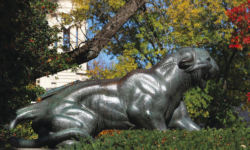 Speak Up for Princeton and for Higher Education