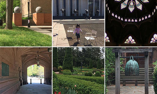 From the PAW Staff: Our Favorite Campus Spots