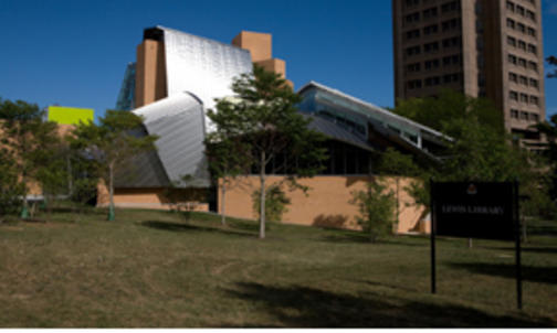 The Gehry on Ivy Lane
