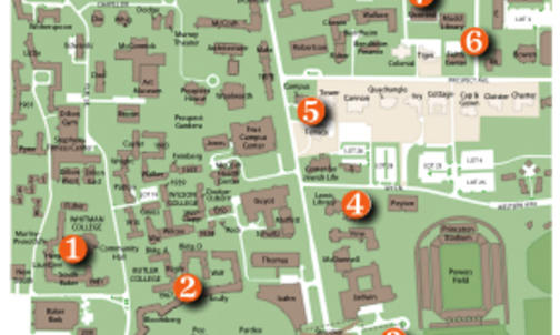 Reunions 2010: New in the neighborhood