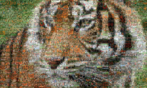 Reunions 2010: Complete guide available