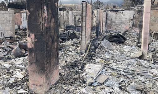 Princeton Alumni in Hawaii Prepare for ‘Marathon’ Recovery After Fires