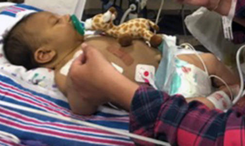 Voices: A New Life, A New Liver