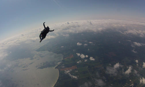 Voices: Free Fall