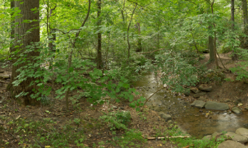 More views of Dumbarton Oaks Park