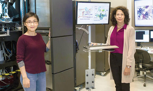 Bringing a “Resolution Revolution” to Princeton