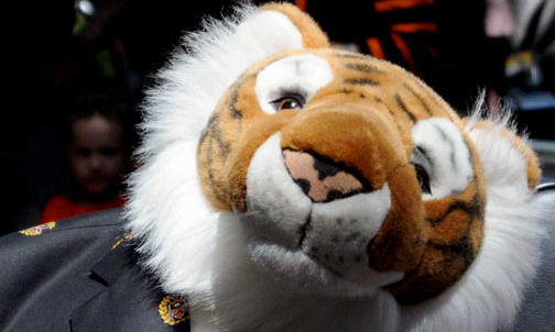 Submit your Reunions 2012 photos and videos to PAW