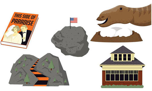 Road Trip: A Tiger Guide