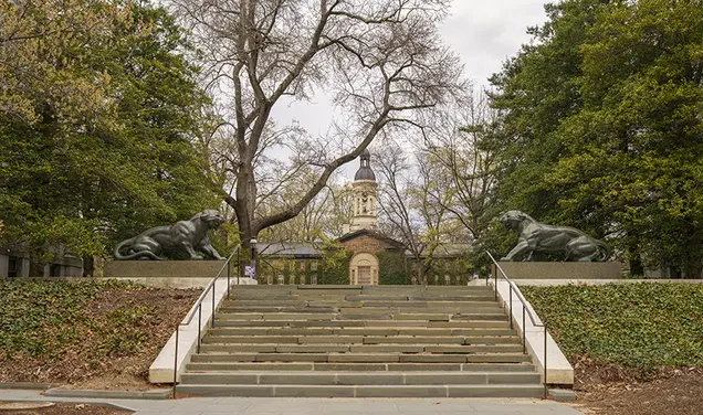 Princeton Notebook — PAW To Become a Biweekly