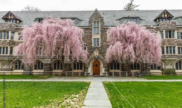 Regarding the Honor System