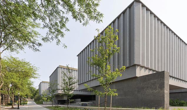 The ‘Encyclopedic’ Museum, Reimagined at Princeton