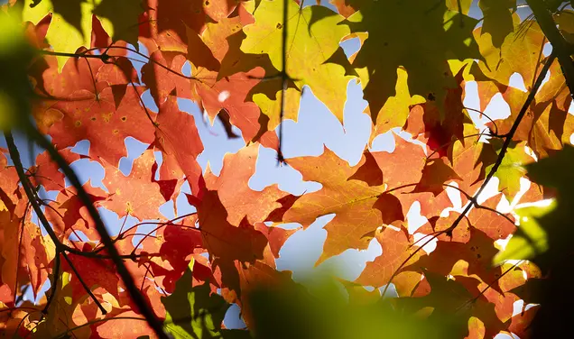 University Reports Death of First-Year Grad Student in History