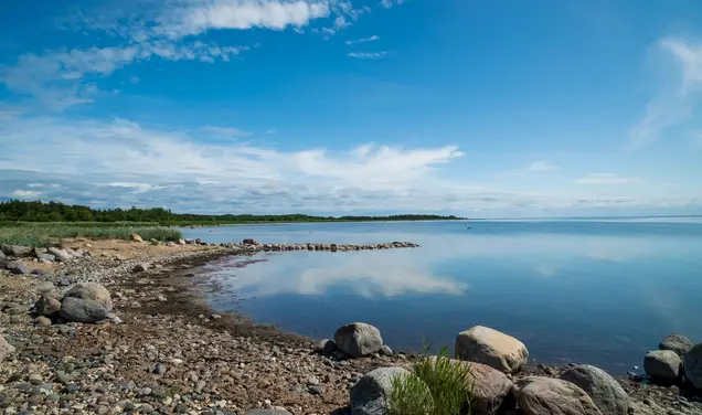 Exploring Islands and Cozying Up for Winter in Estonia