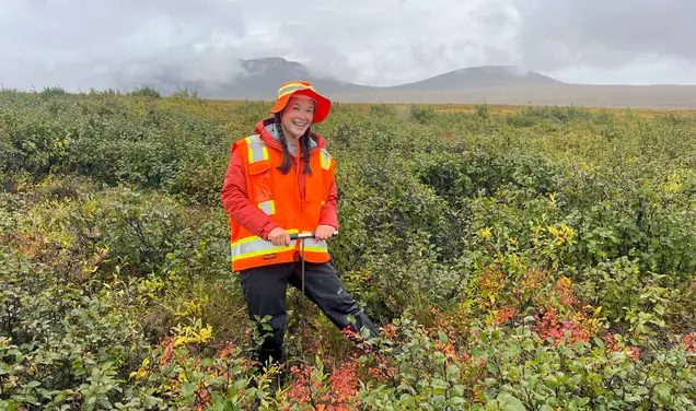 A Summer Internship in Alaska Helped Confirm My Interest in Ecological Research