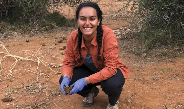 Dung Beetles Do ‘the Job That Is Necessary’