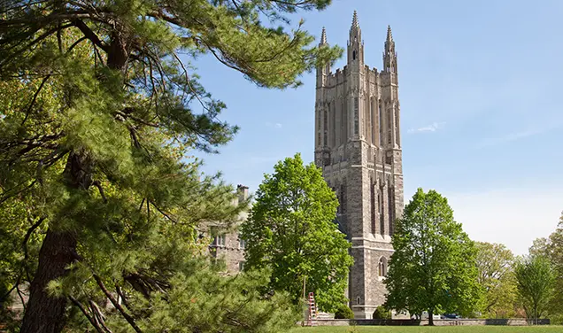 Princeton Grad Students Rally Around Unionization Campaign