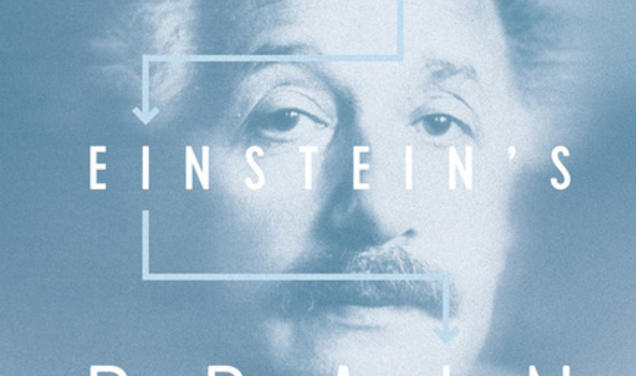 Finding Einstein’s Brain 