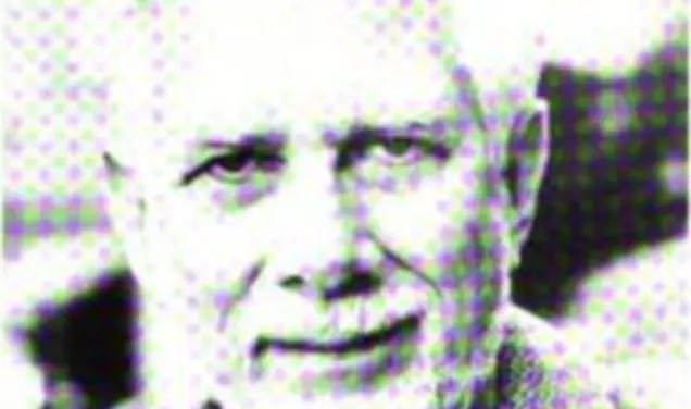 Woodrow Wilson ’79: Volcanic Fire From a Thinking Machine