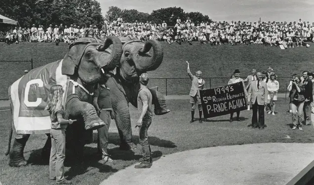 Creatures Large and Small 