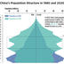 Princetonians Team Up to Study China’s Demographics