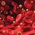 Princetonians Weigh In on New Cholesterol Testing Guidelines