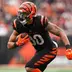 Bengals Receiver Andrei Iosivas ’23 Is Building a Solid NFL Career