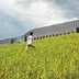 Princeton Landscaping Goes Back to the Wild With Native Plants