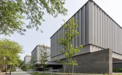 The ‘Encyclopedic’ Museum, Reimagined at Princeton