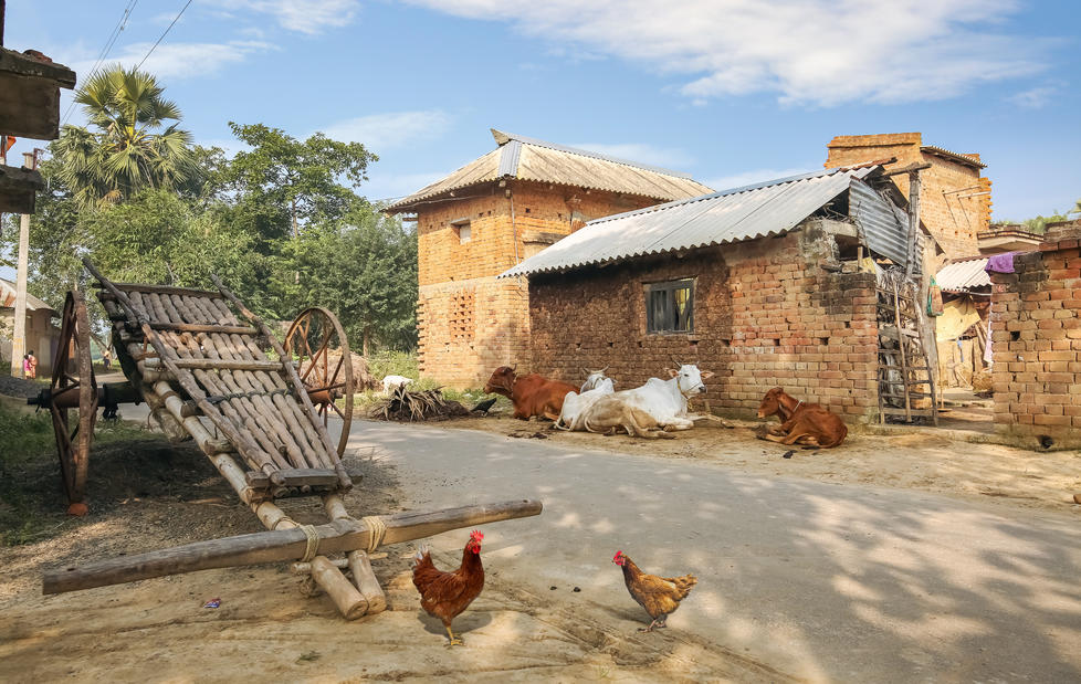 Hand pulled cart with brick and mud houses and cows and chickens sitting by the roadside around small brick structures in Bolpur, India. 