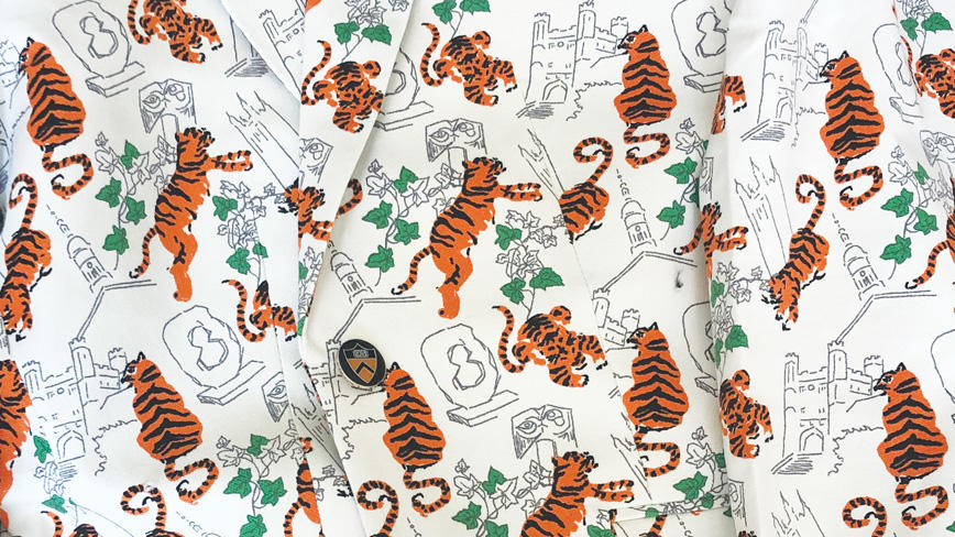 Iconic pieces of the Princeton landscape, including Blair Arch and Oval with Points, grace the Class of 1995’s jacket.