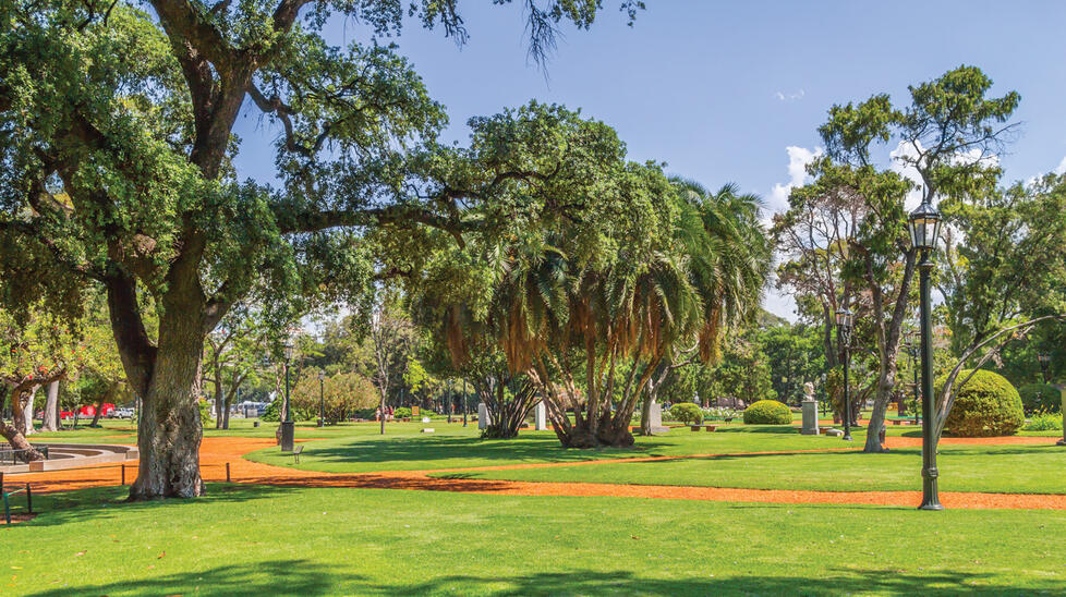 Bosques de Palermo: a stretch of parks in the Palermo neighborhood — often likened in size and atmosphere to New York’s Central Park — that stud the city’s eastern border with the Río de la Plata estuary