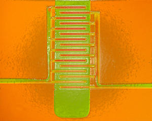 18501-Electric_Pop_Art_lr-thumb-300x239-18500.jpg