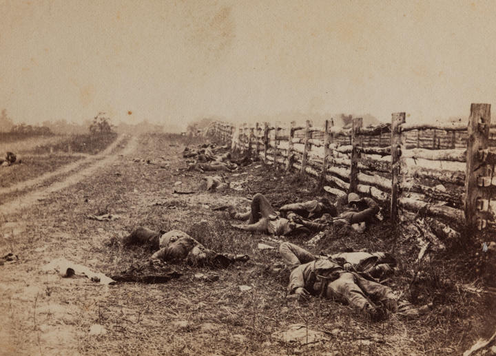 “View in the Field” —  Two days after the battle of Antietam, Gardner shot this image of Confederate corpses lining the Hagerstown Road. 