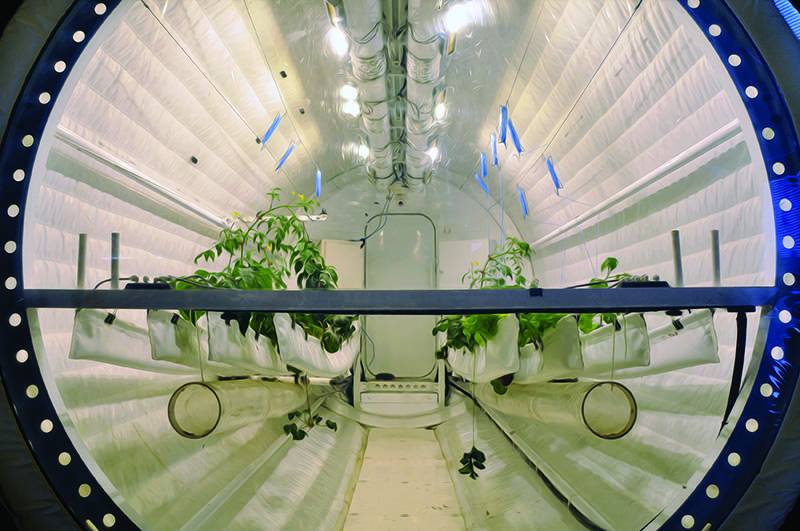 The Biosphere 2 Greenhouse Capsule