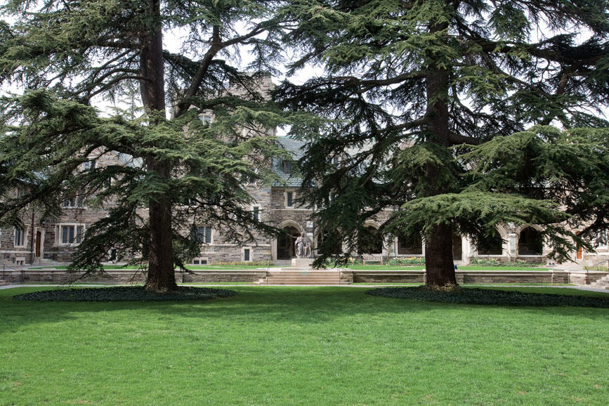 These two cedars of Lebanon were grown from seeds collected by Harvard University in the Cilician Mountains in southern Turkey, and were gifts to Dean Andrew Fleming West 1874 from Charles Sargent Sprague, who mentored Farrand.  West, whose statue is in t