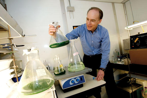 LIVE.NB_BG_Dismukes.jpg Professor Charles Dismukes examines bacteria and algae that could produce green fuels or fuel precursors.