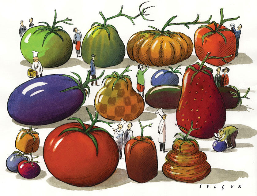LIVE.Persp_tomatoes.jpg