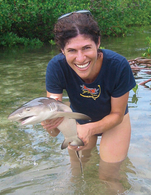 LIVE.RRnew.jpg In her book, Juliet Eilperin ’92 argues for protecting sharks to benefit both the environment and commercial fishing.