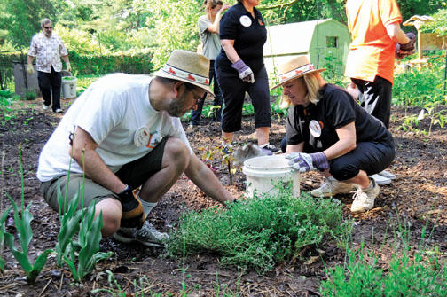 David Keller ’79 and Joyce Thornhill ’79 work in the Forbes garden as part of the class community-service project