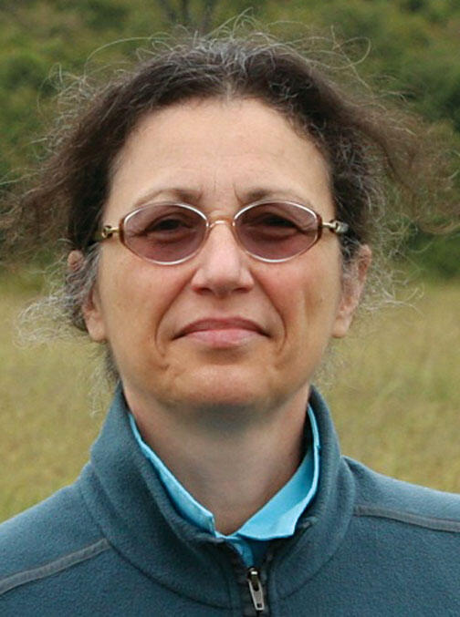 Selloni