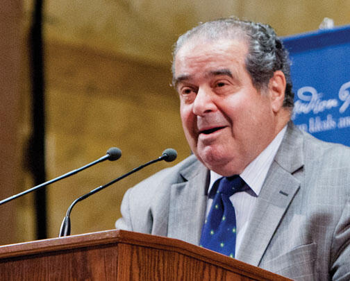 NB_HeardScalia.jpg
