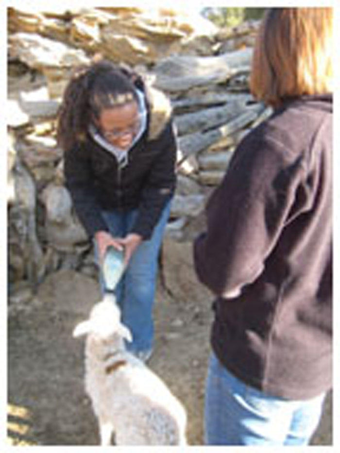 Jasmine Jeffers ’11 and Kate Huddleston ’11 feed one of the lambs in a herd of 50 that they cared for at the home of a Navajo Nation family.  
