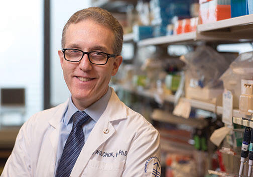Prince-Wolchok0036.jpg Jedd Wolchok ’87 is a leader in the immunotherapy field.