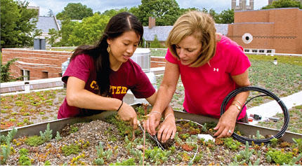 Jessica Hsu ’10 (left) and Eileen Zerba, director of undergraduate laboratories in the Princeton Environmental Institute, at work on one of Butler College’s green roofs.